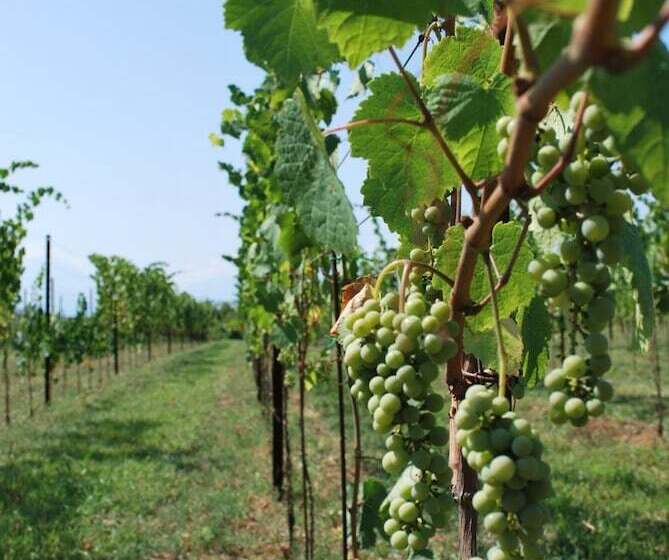 فندق Agriturismo Le Magnolie