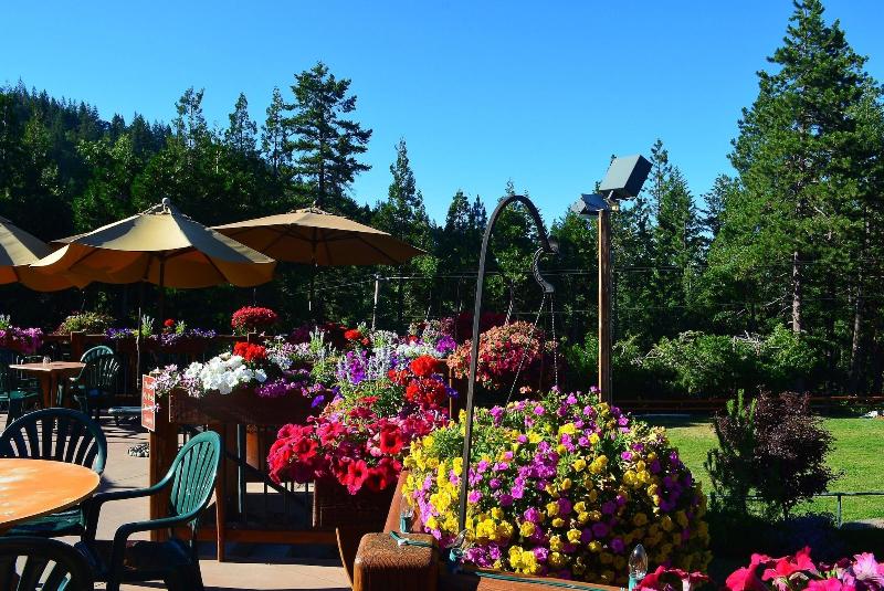 فندق Callahan S Mountain Lodge