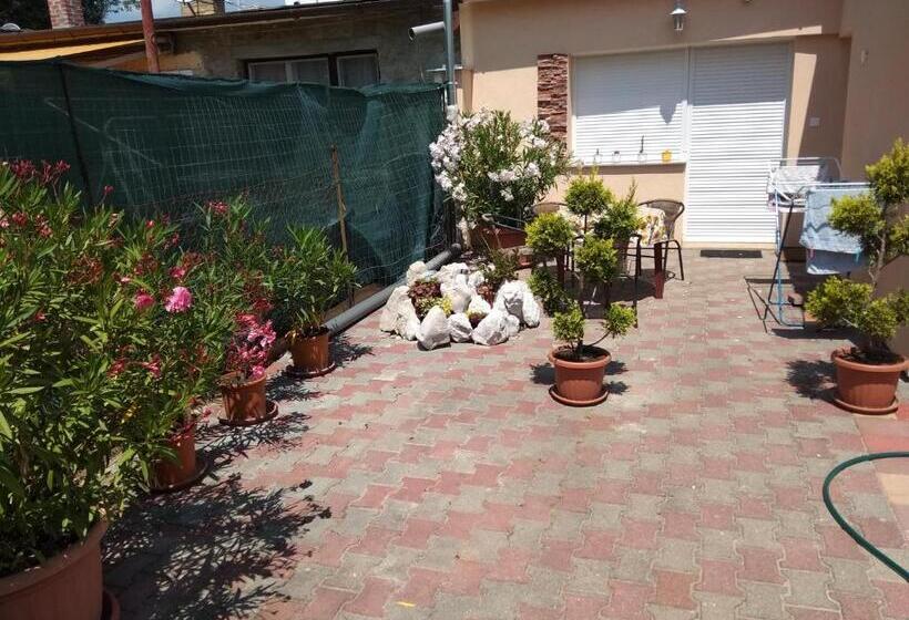 پانسیون Tulipán Apartmanház