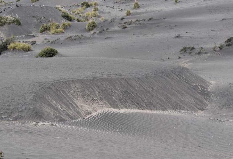 تختخواب و صبحانه Chaperon