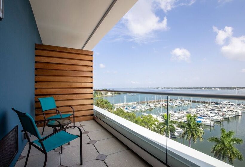 酒店 Springhill Suites By Marriott Bradenton Downtown/riverfront