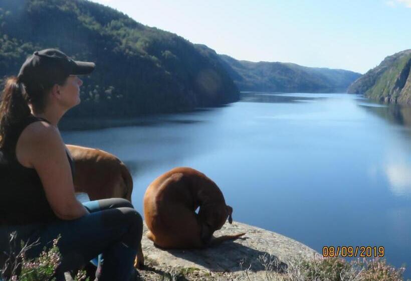 פנסיון øvstefjellså Gård &aktivitet Senter