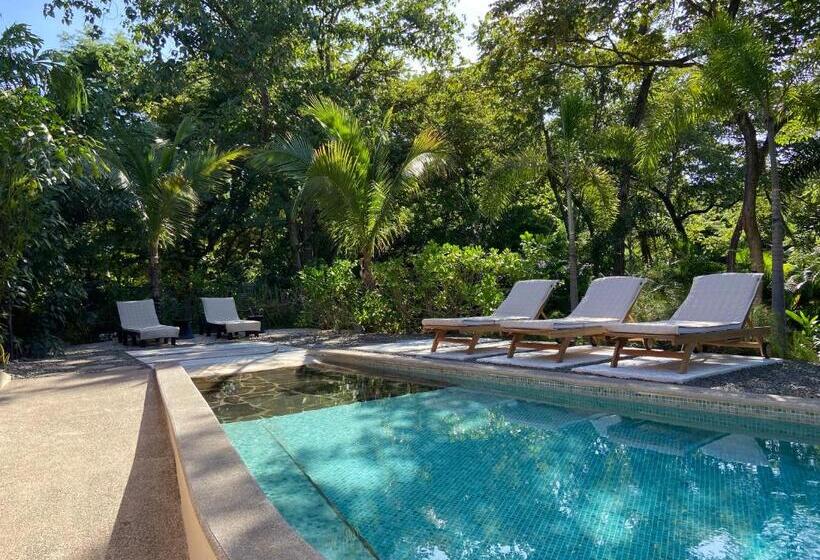 تختخواب و صبحانه Villas Kalei