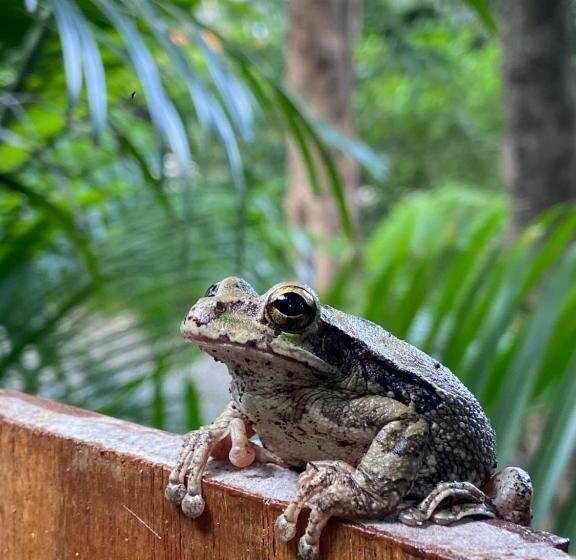 住宿加早餐 Villas Kalei
