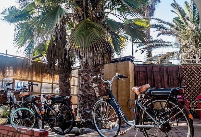 Hostel Willka Kuti Backpackers