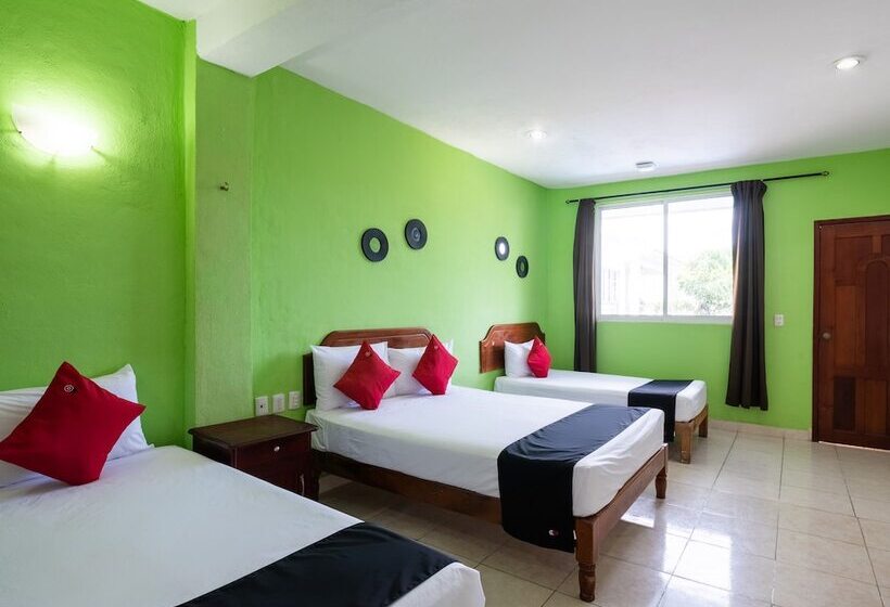 ホテル El Faisan Y El Venado