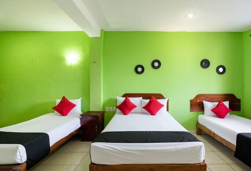 ホテル El Faisan Y El Venado