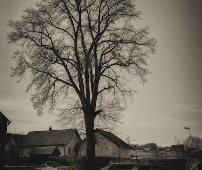 Отель Rezidence Pihel