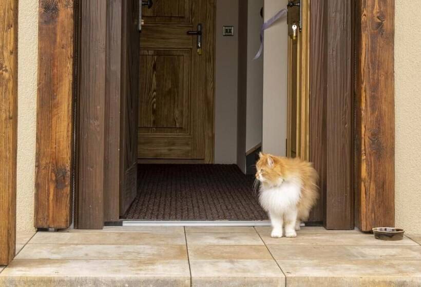 Отель Rezidence Pihel