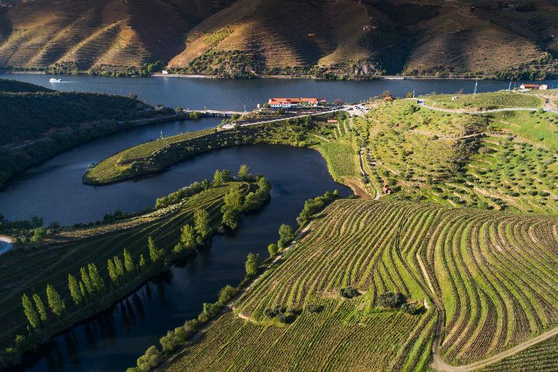 호텔 Vila Gale Douro Vineyards