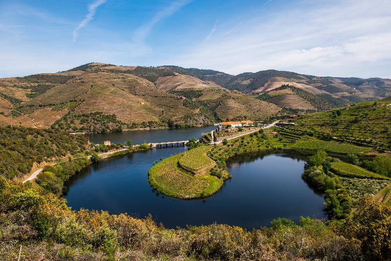 호텔 Vila Gale Douro Vineyards