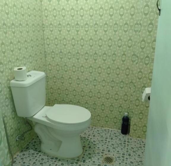 هاستل Carillo Guest House