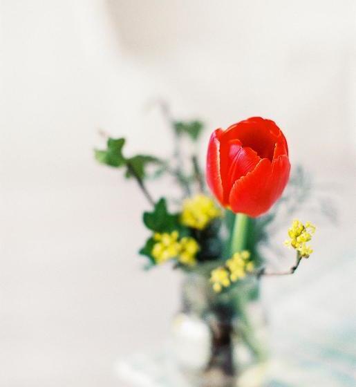 Domizil Gols, Studios Am Anger