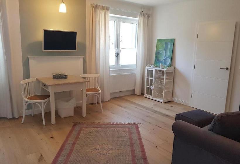 Domizil Gols, Studios Am Anger