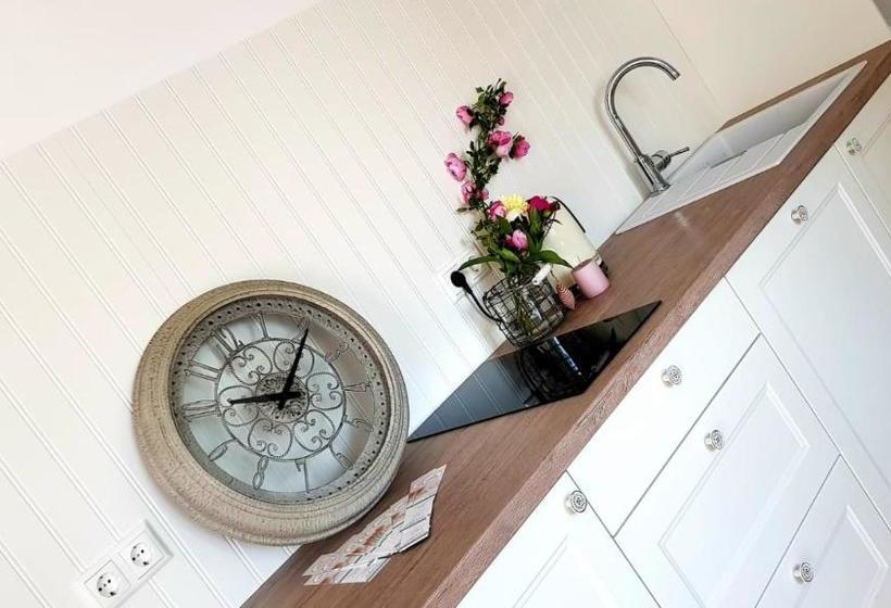 Domizil Gols, Studios Am Anger