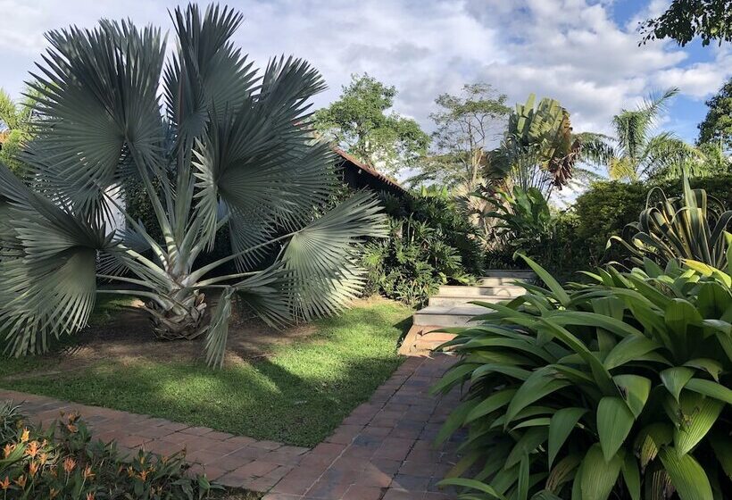Finca Hotel Brasilia