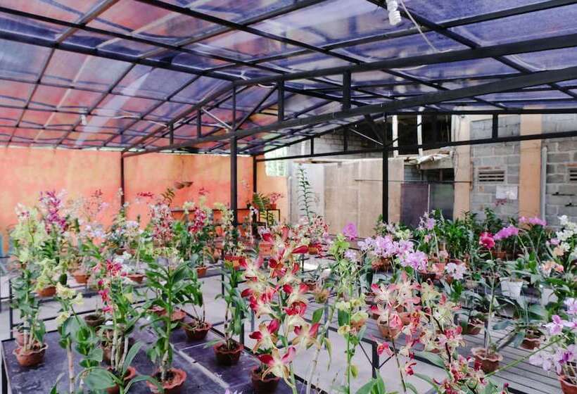 فندق Reddoorz At Damar Mas Gunung Kelud Kediri