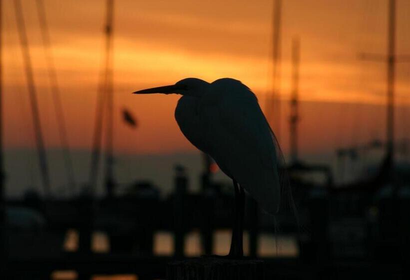 Whooping Crane Manor B & B