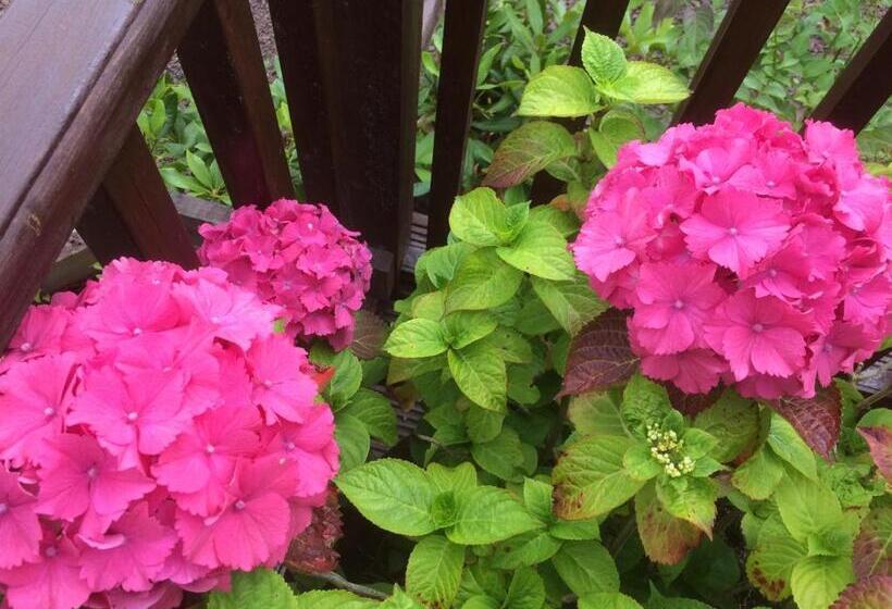 Bed and Breakfast Bonnie Haven