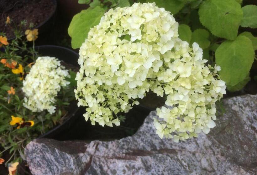 Bed and Breakfast Bonnie Haven