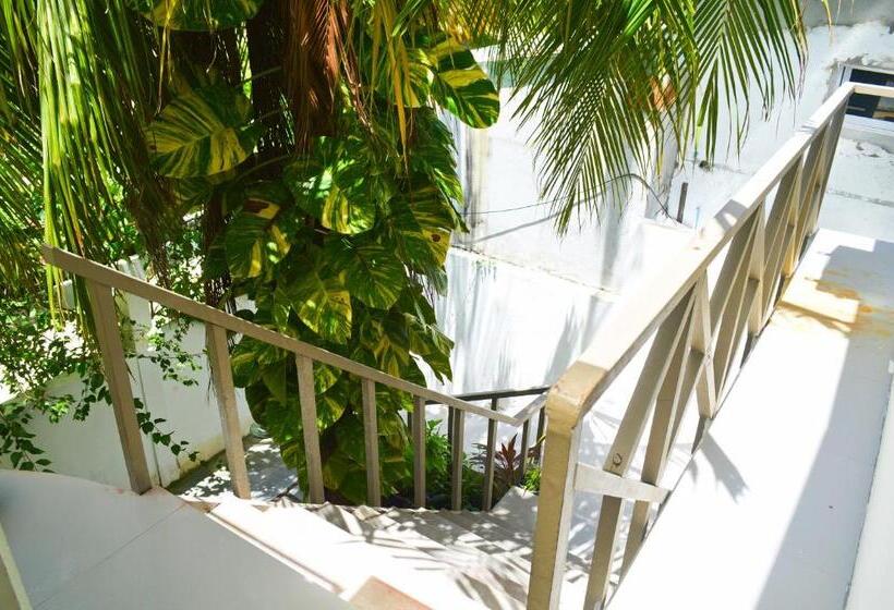 تختخواب و صبحانه Keyla Inn