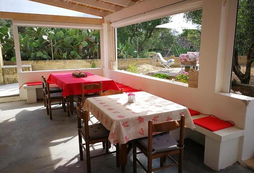 Bed and Breakfast Stella Del Sud Guesthouse