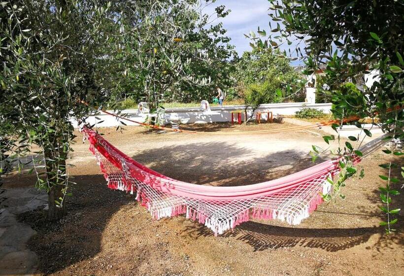 Bed and Breakfast Stella Del Sud Guesthouse