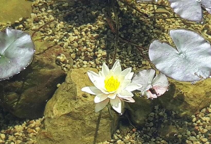 هتل Agritur Fiore D'ulivo