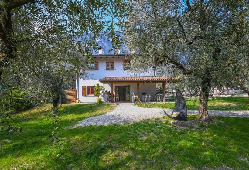 هتل Agritur Fiore D'ulivo