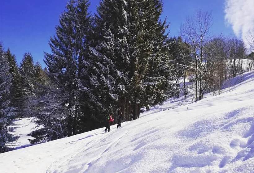 בית מלון כפרי Chalet Les Pieux