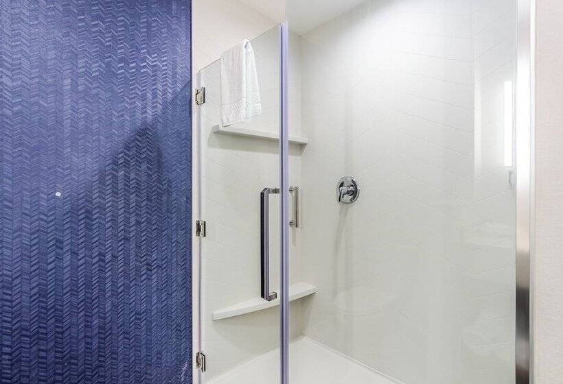 酒店 Fairfield Inn & Suites By Marriott Dallas Dfw Airport North Coppell Grapevine