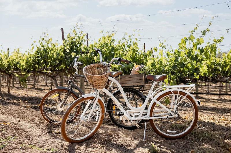 Four Seasons Resort Napa Valley