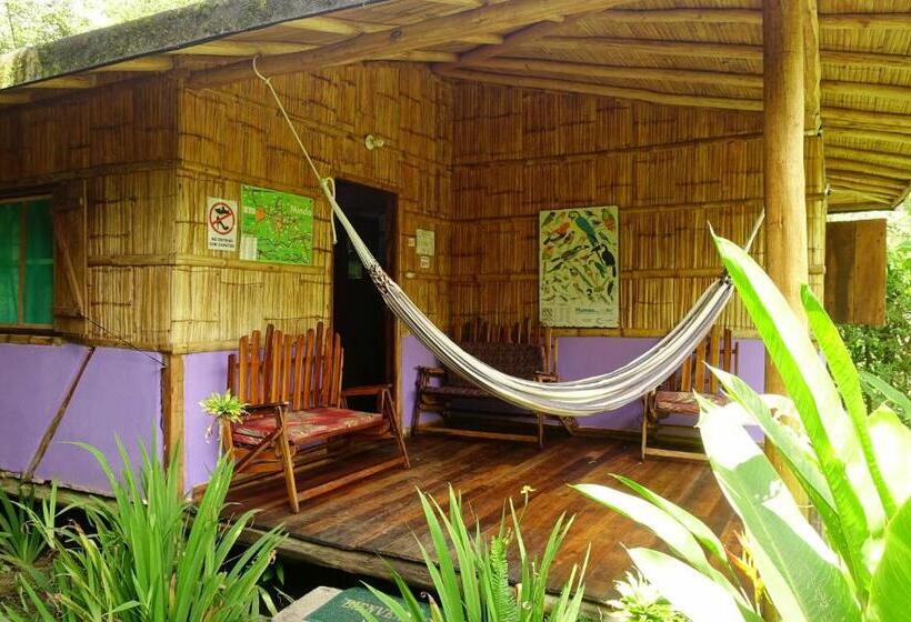 هتل Cabañas Bambu Mindo