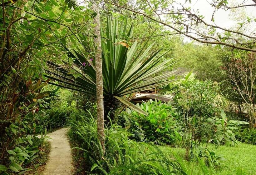 هتل Cabañas Bambu Mindo