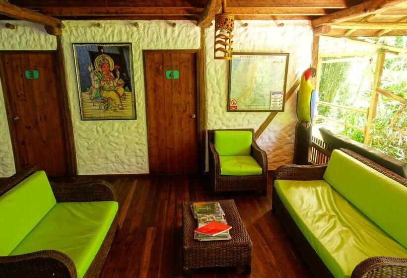 هتل Cabañas Bambu Mindo