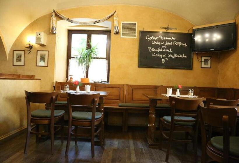 호텔 Donau Lodge