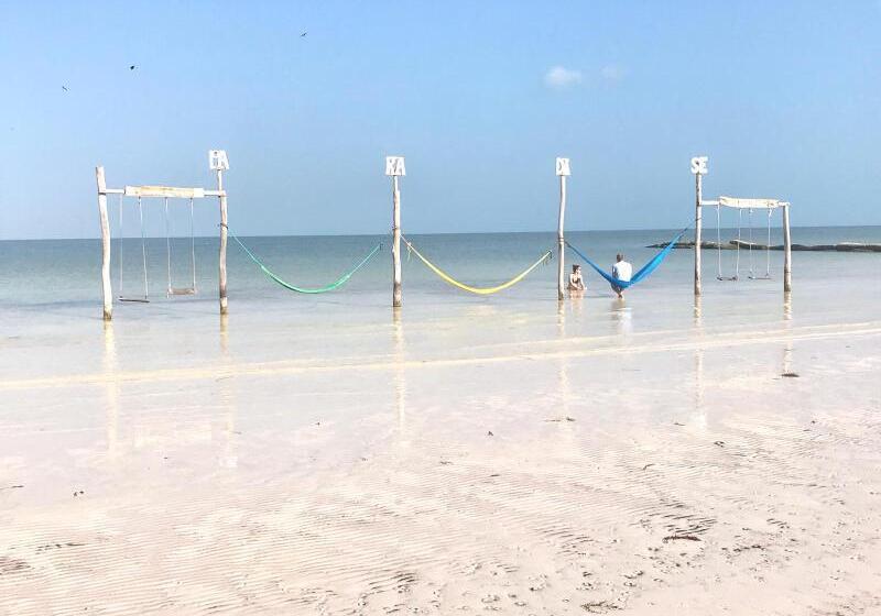 酒店 Soho Boutique Holbox Adults Only