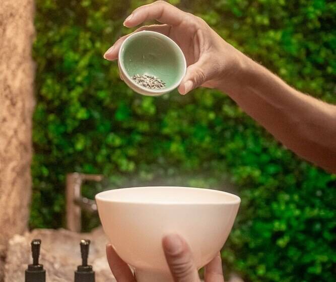 酒店 Soho Boutique Holbox Adults Only