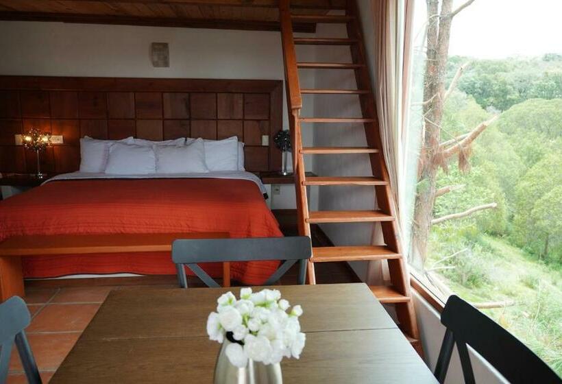 فندق Torre Del Conde