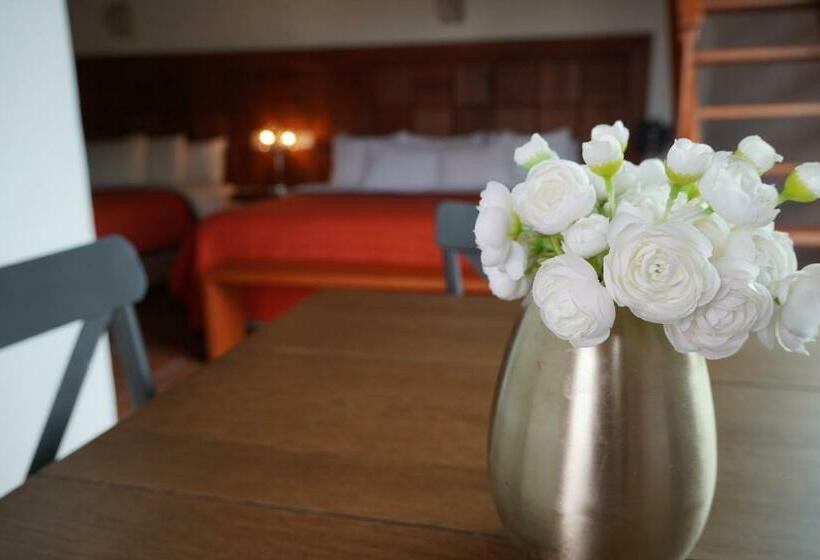 فندق Torre Del Conde