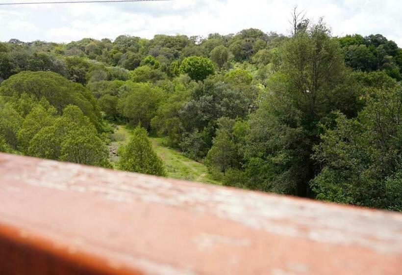 فندق Torre Del Conde