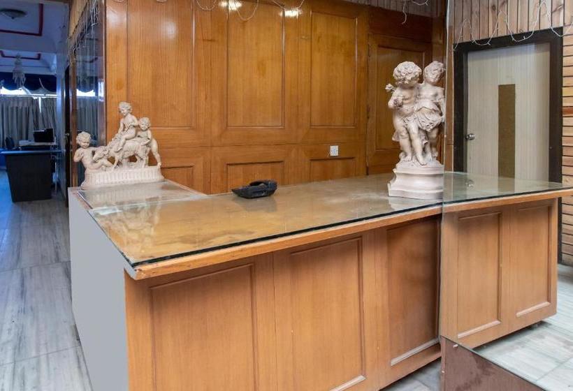 Отель Shreenath Palace