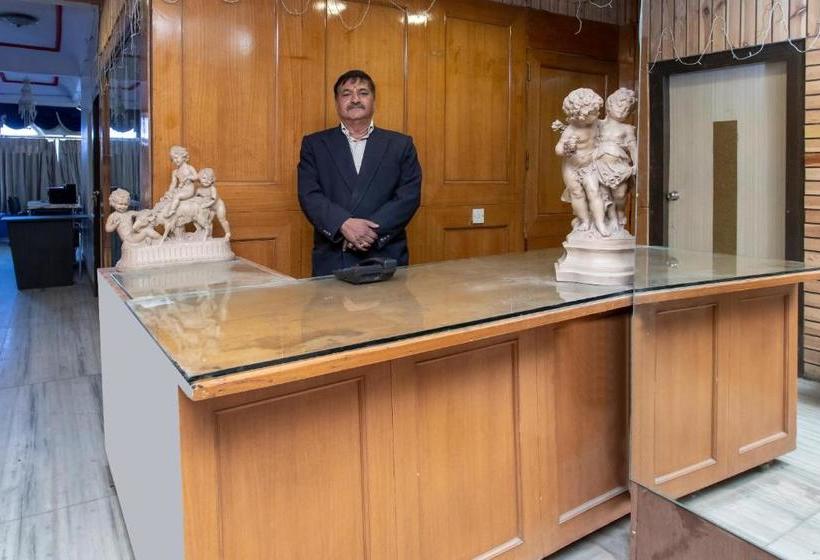 Отель Shreenath Palace