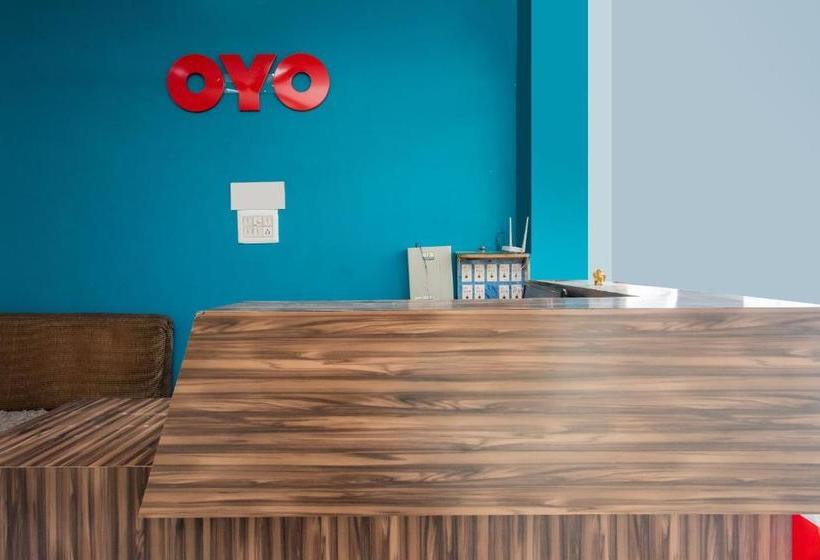 Отель Shreenath Palace