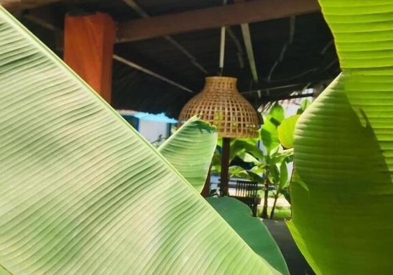 تختخواب و صبحانه Hoi An Blue Seaside Homestay