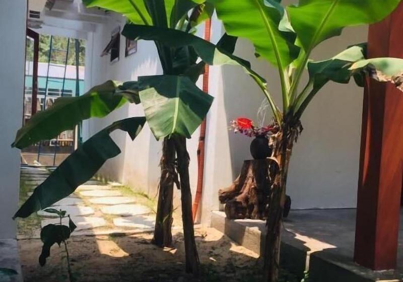 تختخواب و صبحانه Hoi An Blue Seaside Homestay