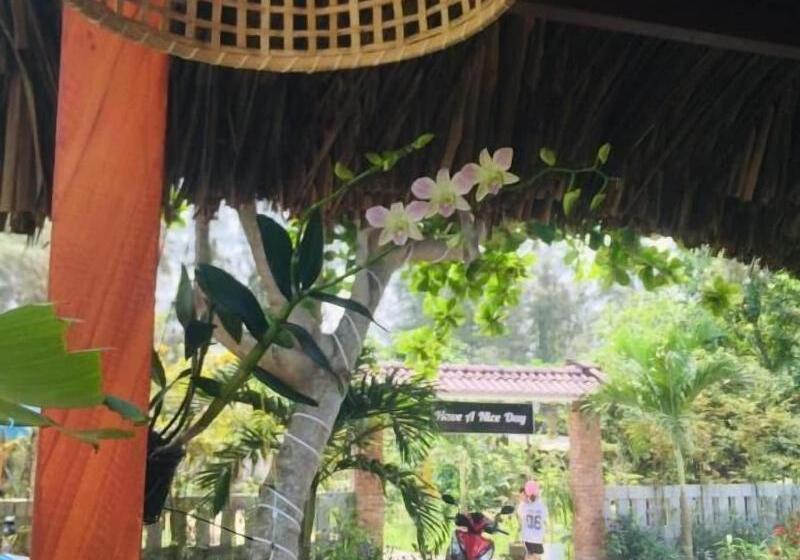 تختخواب و صبحانه Hoi An Blue Seaside Homestay