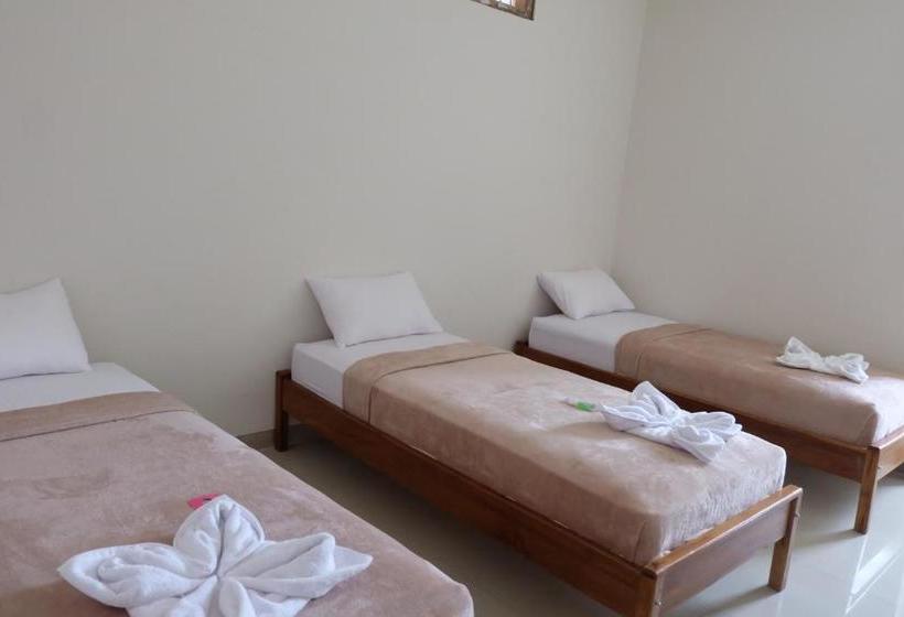 تختخواب و صبحانه Sky Bajo Hostel