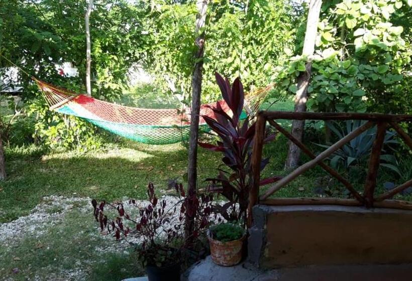 Bed and Breakfast Sweet Home