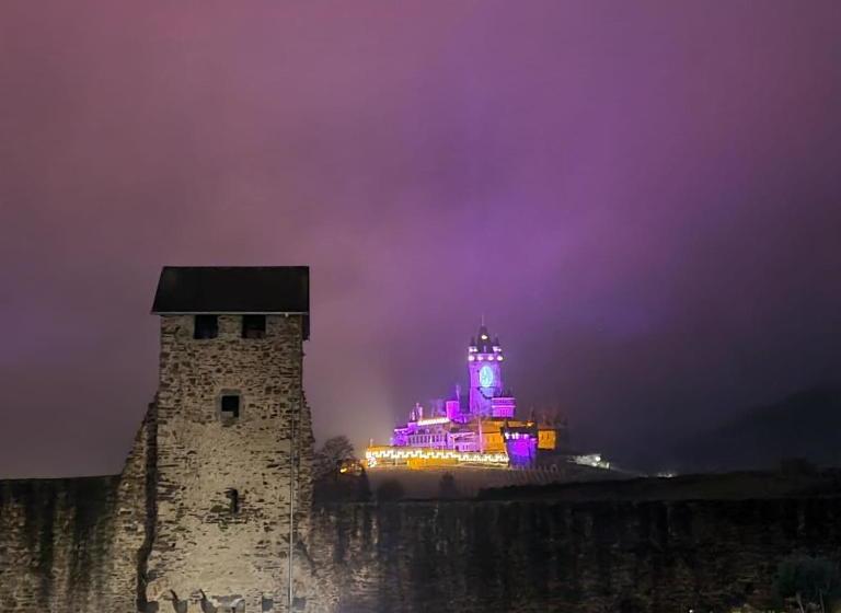 펜션 Altstadt Hotel Cochem